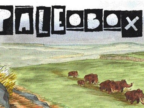 Les rencontres Paléobox