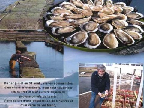 Visite ostréicole chez TIBIDY