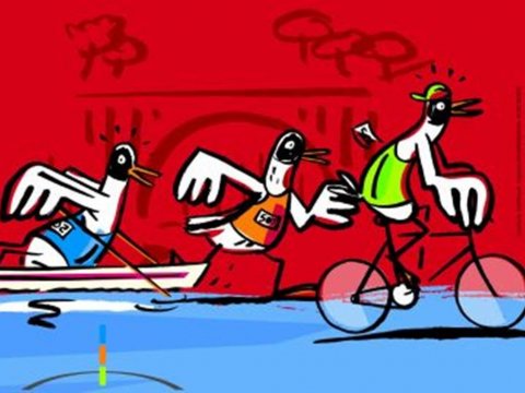 Raid des mouettes