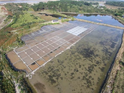 Sortie nature  Au pays de la nature et du sel, découvrons les marais salants