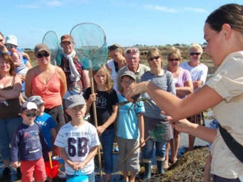 Initiation à la pêche à pied à la Trinité-sur-Mer