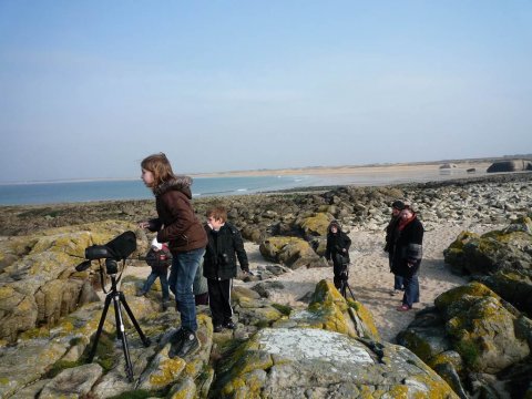 Sortie nature : Observons les oiseaux