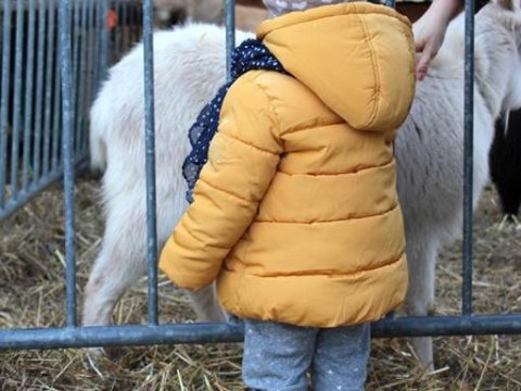 Mini Ferme de Noël à Carnac