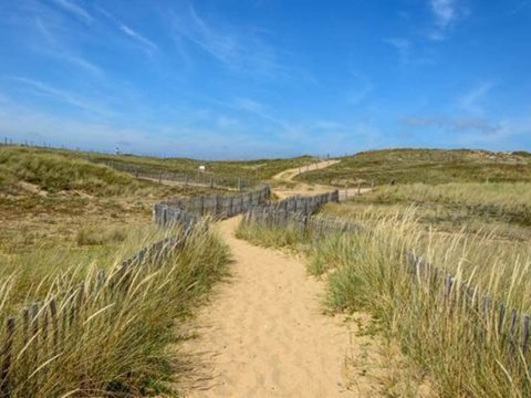 Balade nature : on a marché... sur la dune !