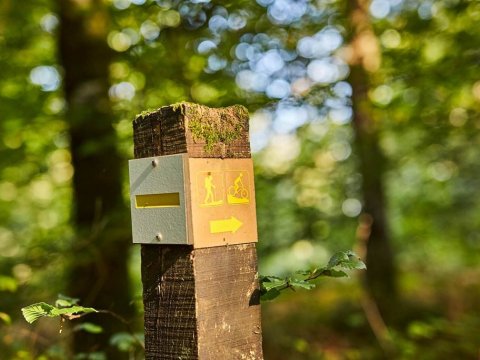 Randonnée pédestre accompagnée par La Vigie