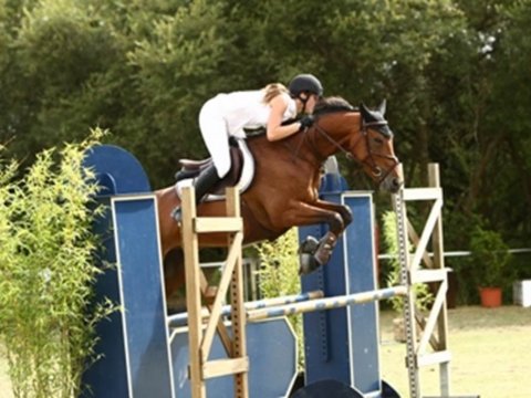 Concours hippique national de sauts d'obstacles